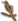 Wood Plank(s)